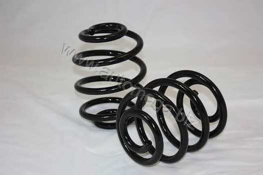AutoMega 3004240293 Coil Spring 3004240293