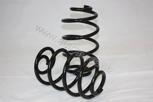 AutoMega 3004240319 Coil Spring 3004240319