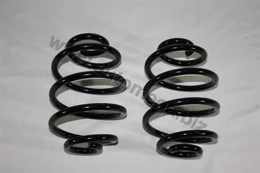 AutoMega 3004240394 Coil Spring 3004240394