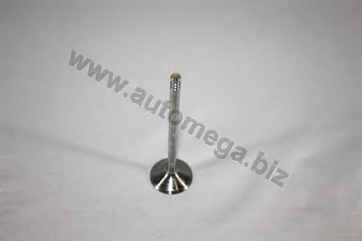 AutoMega 3006410022 Intake valve 3006410022