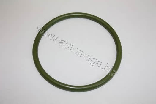 AutoMega 3006520553 Ring sealing 3006520553