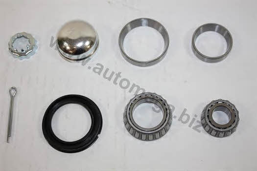 AutoMega 305980625191 Wheel bearing kit 305980625191