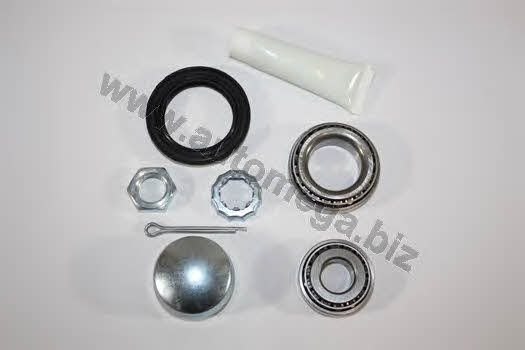 AutoMega 3059806256U0 Wheel bearing kit 3059806256U0