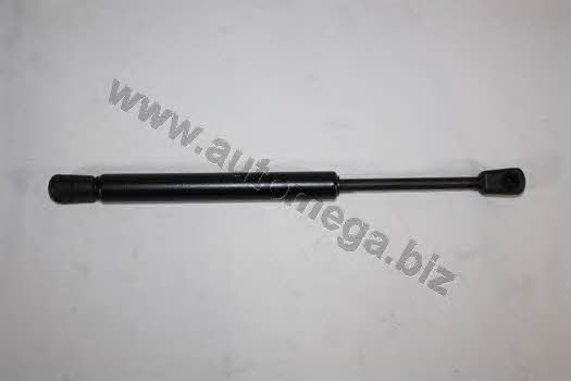 AutoMega 3082705524B5D Gas Spring, boot-/cargo area 3082705524B5D