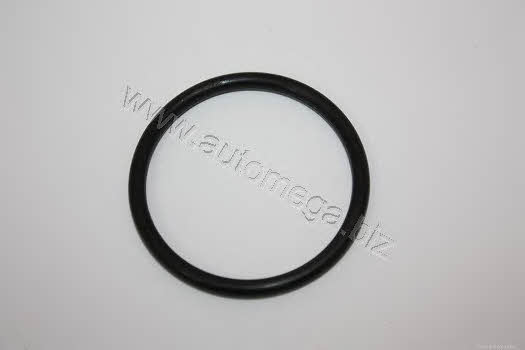 AutoMega 301210119032H Thermostat O-Ring 301210119032H