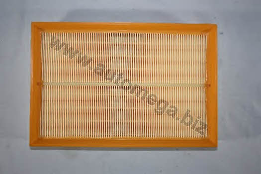 AutoMega 301980620036 Air filter 301980620036