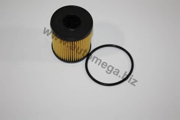 AutoMega 3011090Z0 Oil Filter 3011090Z0