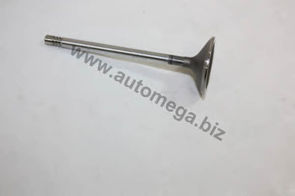 AutoMega 1006410063 Intake valve 1006410063