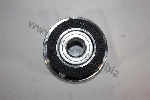 AutoMega 3059806118E0C Wheel bearing kit 3059806118E0C