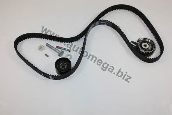 AutoMega 1016060434 Timing Belt Kit 1016060434