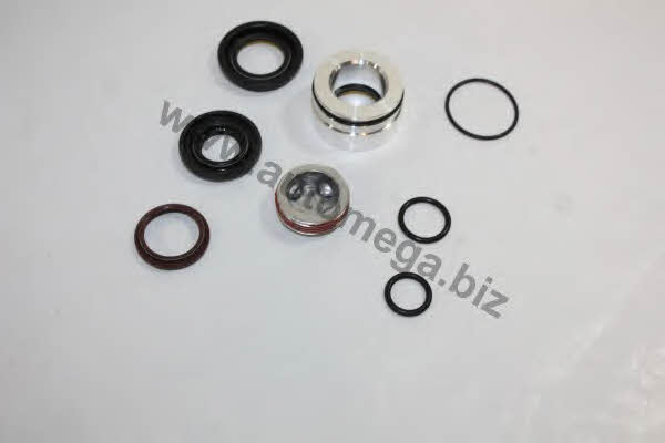 AutoMega 3049800201H0 Steering rack repair kit 3049800201H0