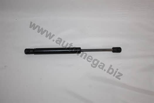 AutoMega 3182705524B5D Gas Spring, boot-/cargo area 3182705524B5D