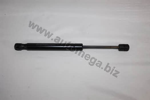 AutoMega 3182705524B5G Gas Spring, boot-/cargo area 3182705524B5G