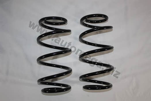 AutoMega 3003120869 Coil spring 3003120869
