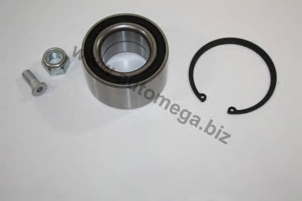 AutoMega 305980625701B Wheel bearing kit 305980625701B