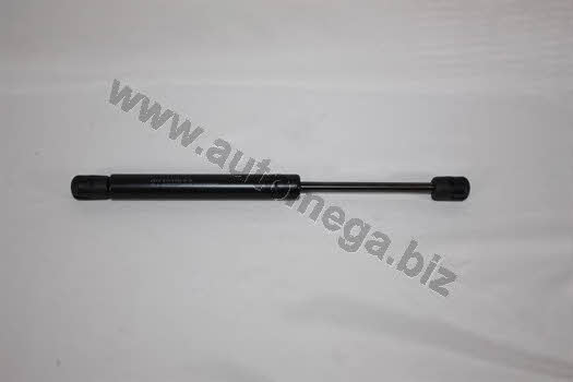 AutoMega 3182705528D5F Gas Spring, boot-/cargo area 3182705528D5F