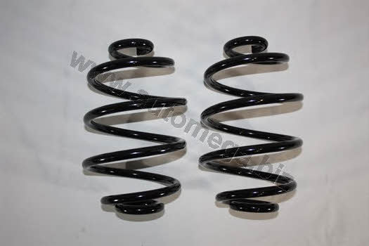 AutoMega 3004240057 Coil Spring 3004240057