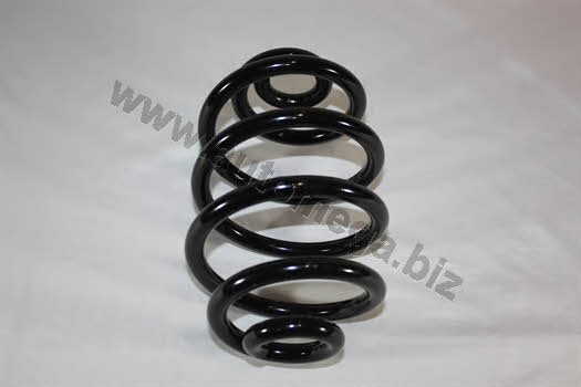 AutoMega 3004240003 Coil Spring 3004240003