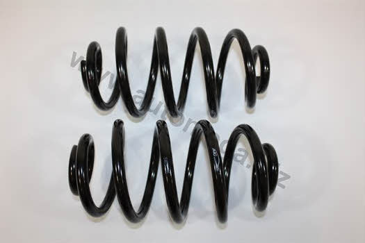 AutoMega 3004240087 Coil spring 3004240087