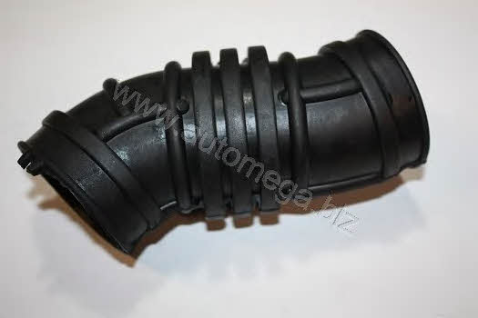 AutoMega 3008360772 Inlet pipe 3008360772