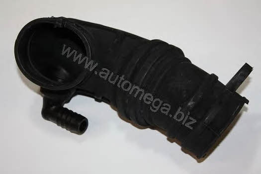 AutoMega 3008360791 Inlet pipe 3008360791