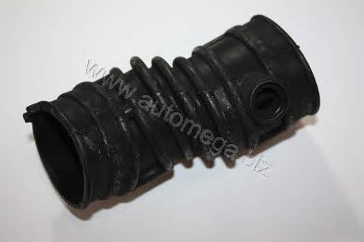 AutoMega 3008360793 Inlet pipe 3008360793