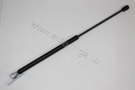 AutoMega 3011800401 Gas hood spring 3011800401