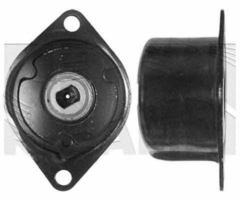 Autoteam A05920 Belt tightener A05920