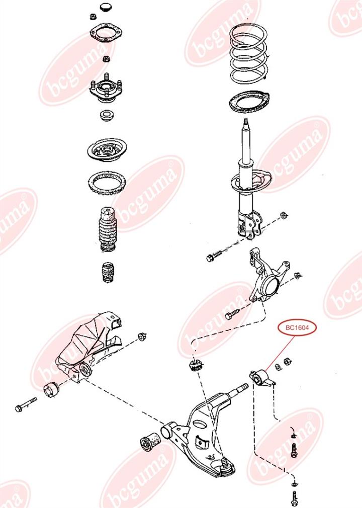 Buy Bcguma BC1604 at a low price in United Arab Emirates!