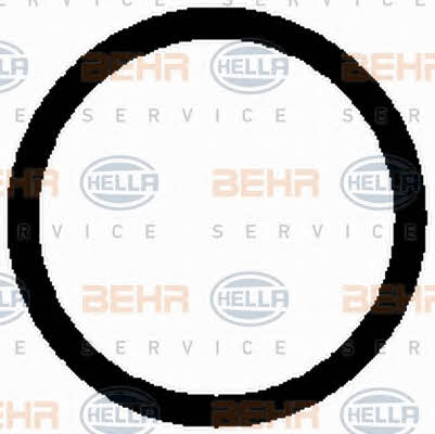 Buy Behr-Hella 8FK 351 126-141 at a low price in United Arab Emirates!