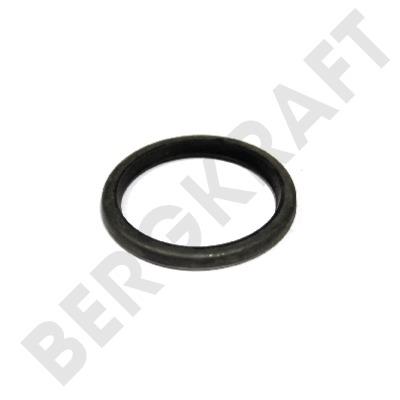 Berg kraft BK9001628 Ring sealing BK9001628