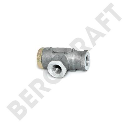 Berg kraft BK1249502AS Multi-position valve BK1249502AS