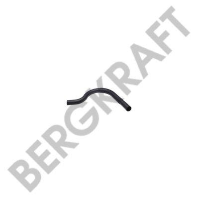 Berg kraft BK2942121SP Kingpin, set BK2942121SP