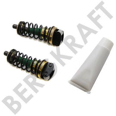 Berg kraft BK6120352 Repair kit for brake cylinder BK6120352