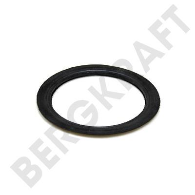 Berg kraft BK8004815 Ring sealing BK8004815