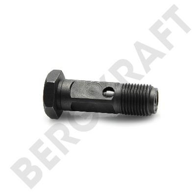 Berg kraft BK8402849 Pressure limiting valve BK8402849