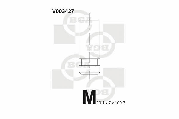 BGA V003427 Exhaust valve V003427