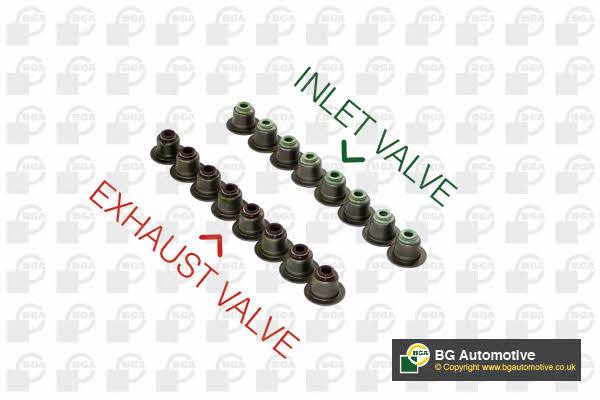 VK2313 BGA Valve oil seals, kit