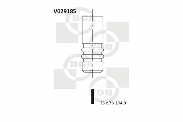 BGA V029185 Intake valve V029185