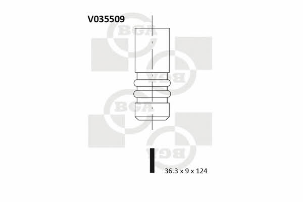 BGA V035509 Exhaust valve V035509