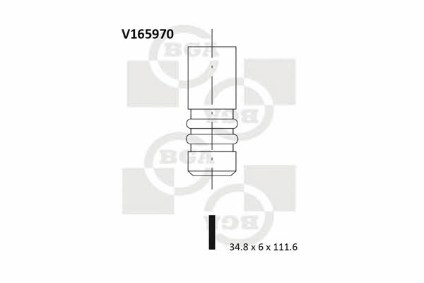 BGA V165970 Intake valve V165970