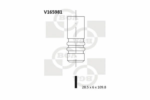 BGA V165981 Exhaust valve V165981