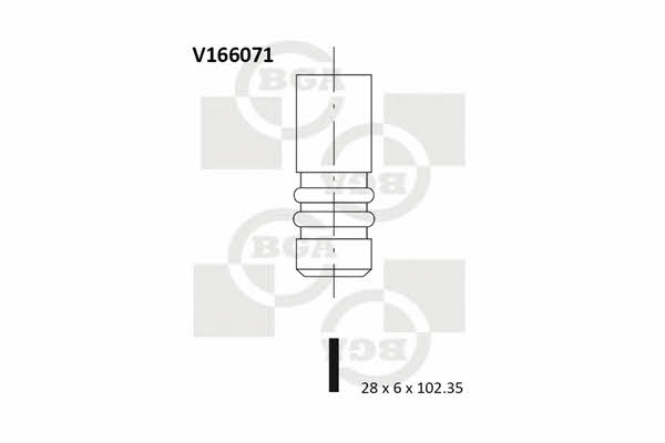 BGA V166071 Exhaust valve V166071