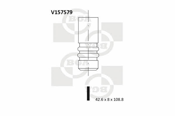 BGA V157579 Intake valve V157579