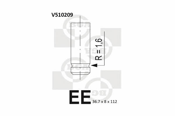 BGA V510209 Exhaust valve V510209