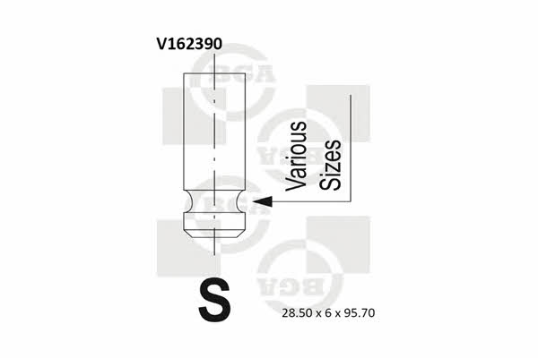 BGA V162390 Intake valve V162390
