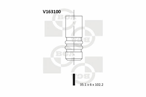 BGA V163100 Intake valve V163100