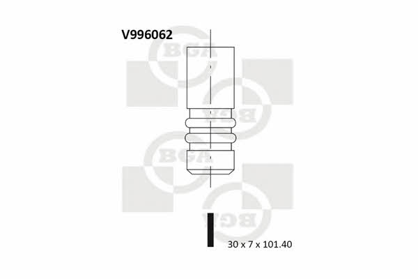 BGA V996062 Exhaust valve V996062