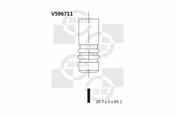 BGA V596711 Intake valve V596711