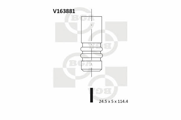 BGA V163881 Exhaust valve V163881